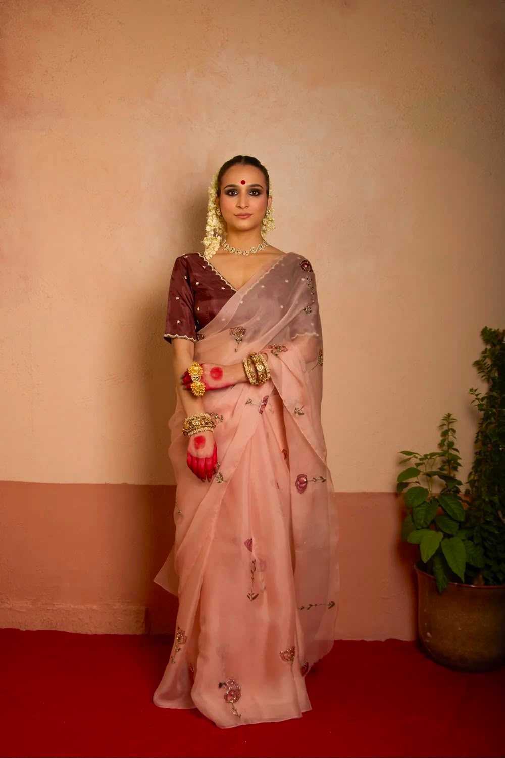 Tabby Silk Organza Saree