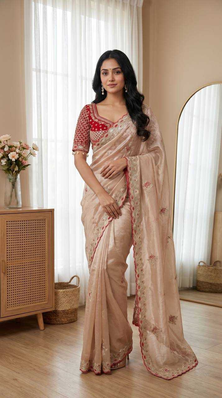 Fendy Embroidered Saree