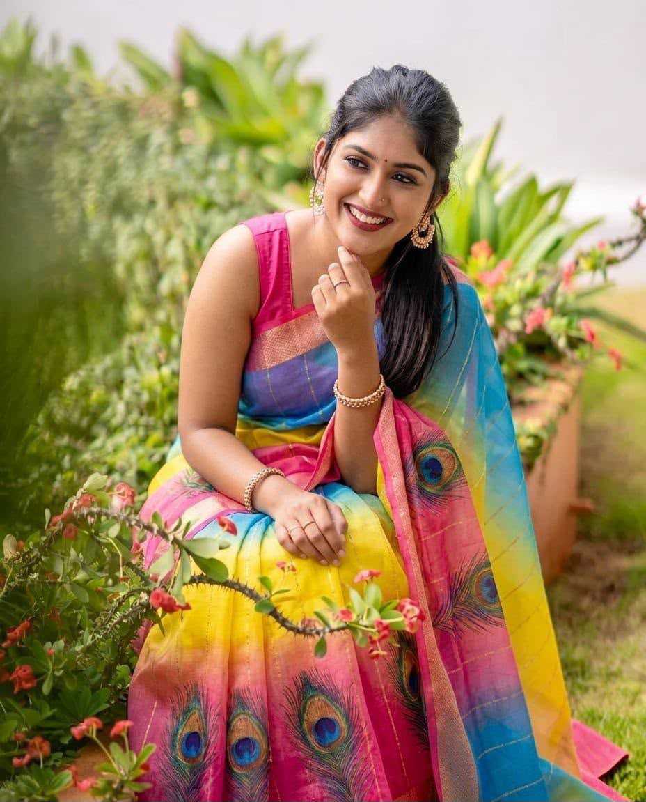 Designer Saree