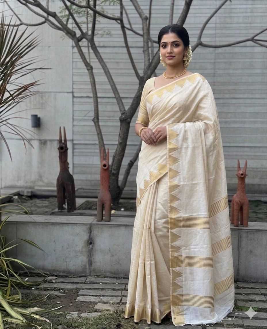 Fancy Saree