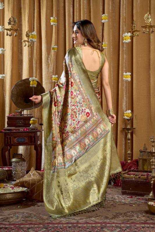 Fancy Designer Saree