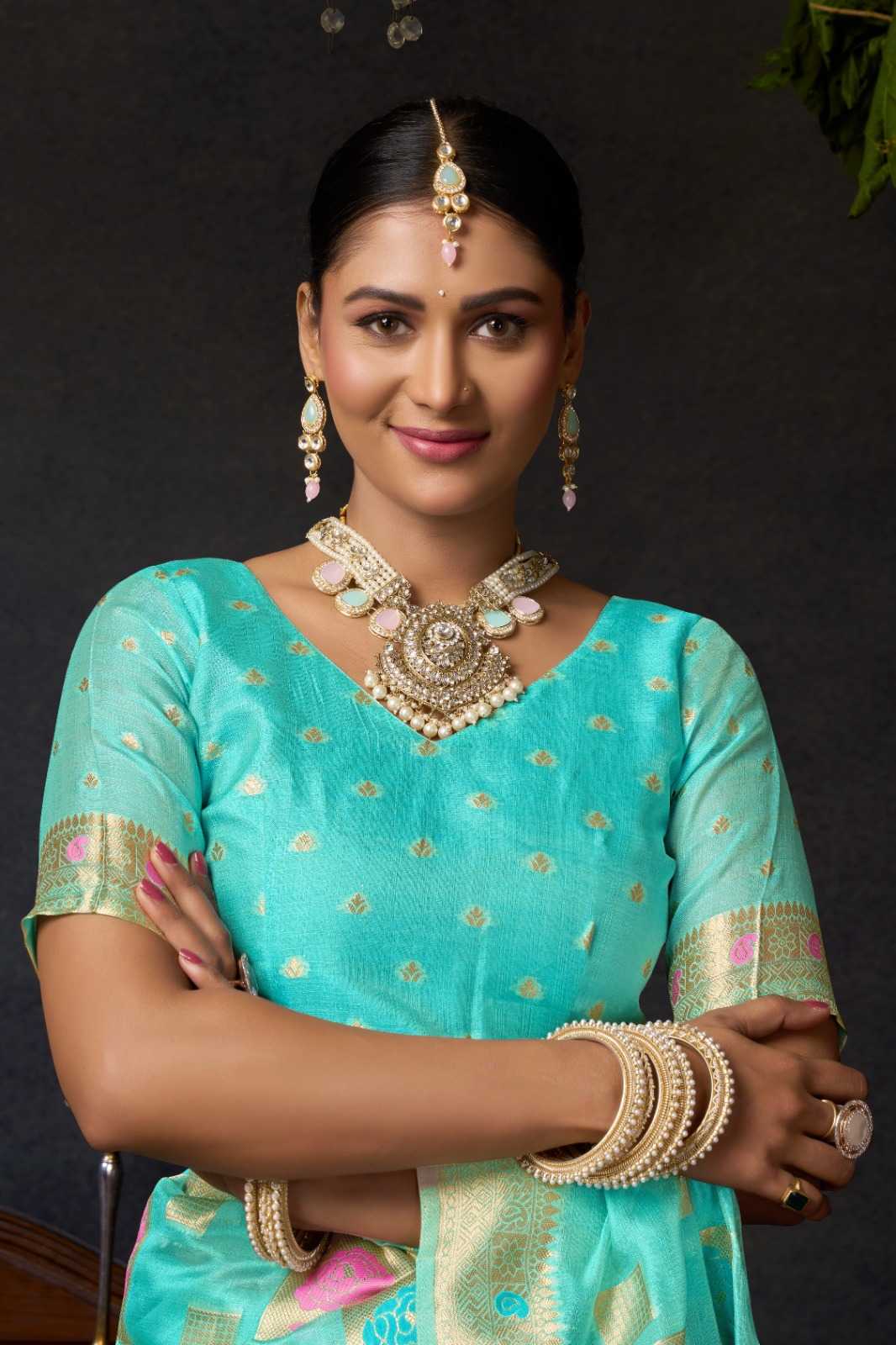 Organza Designer Saree