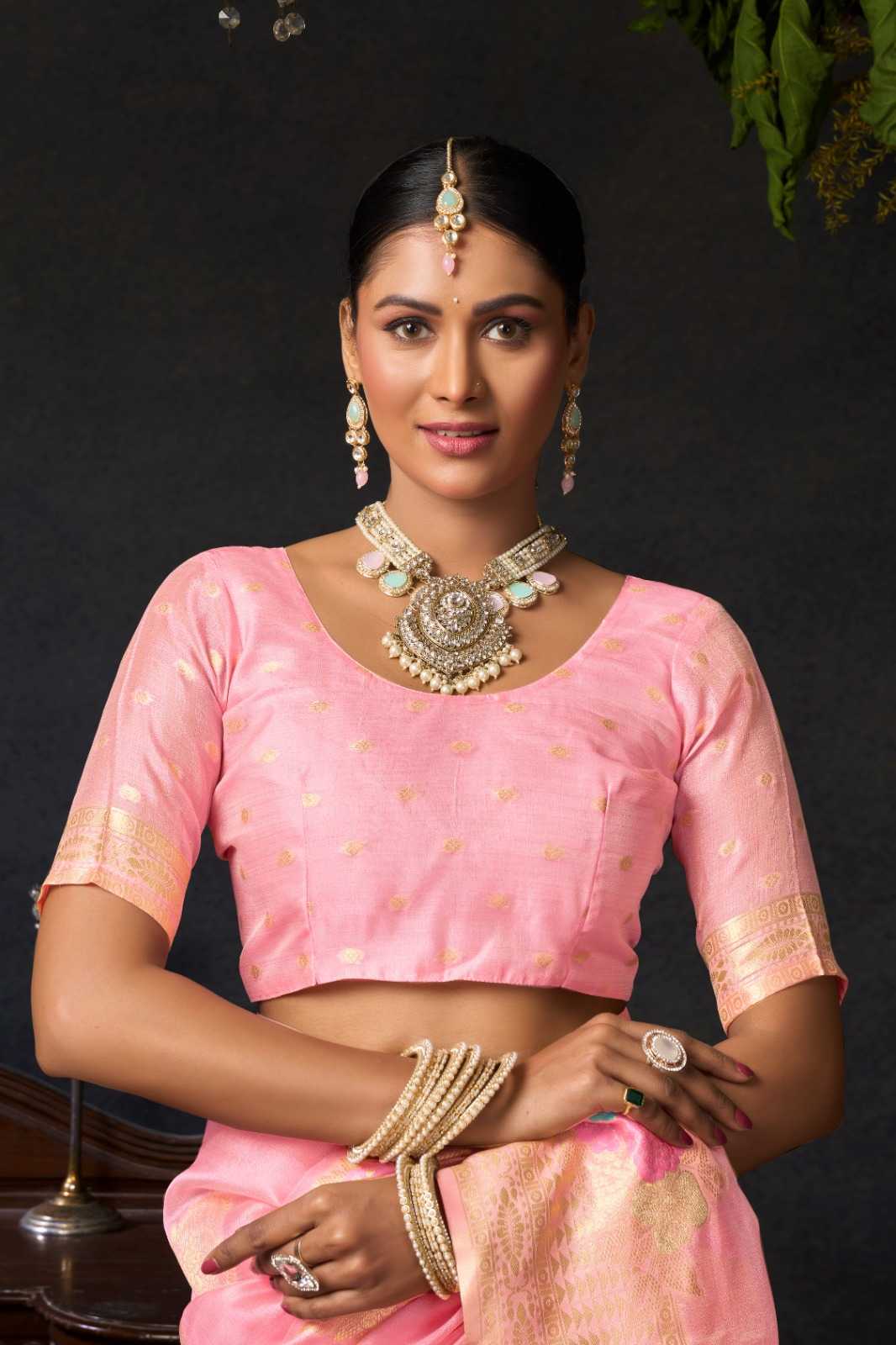 Organza Designer Saree