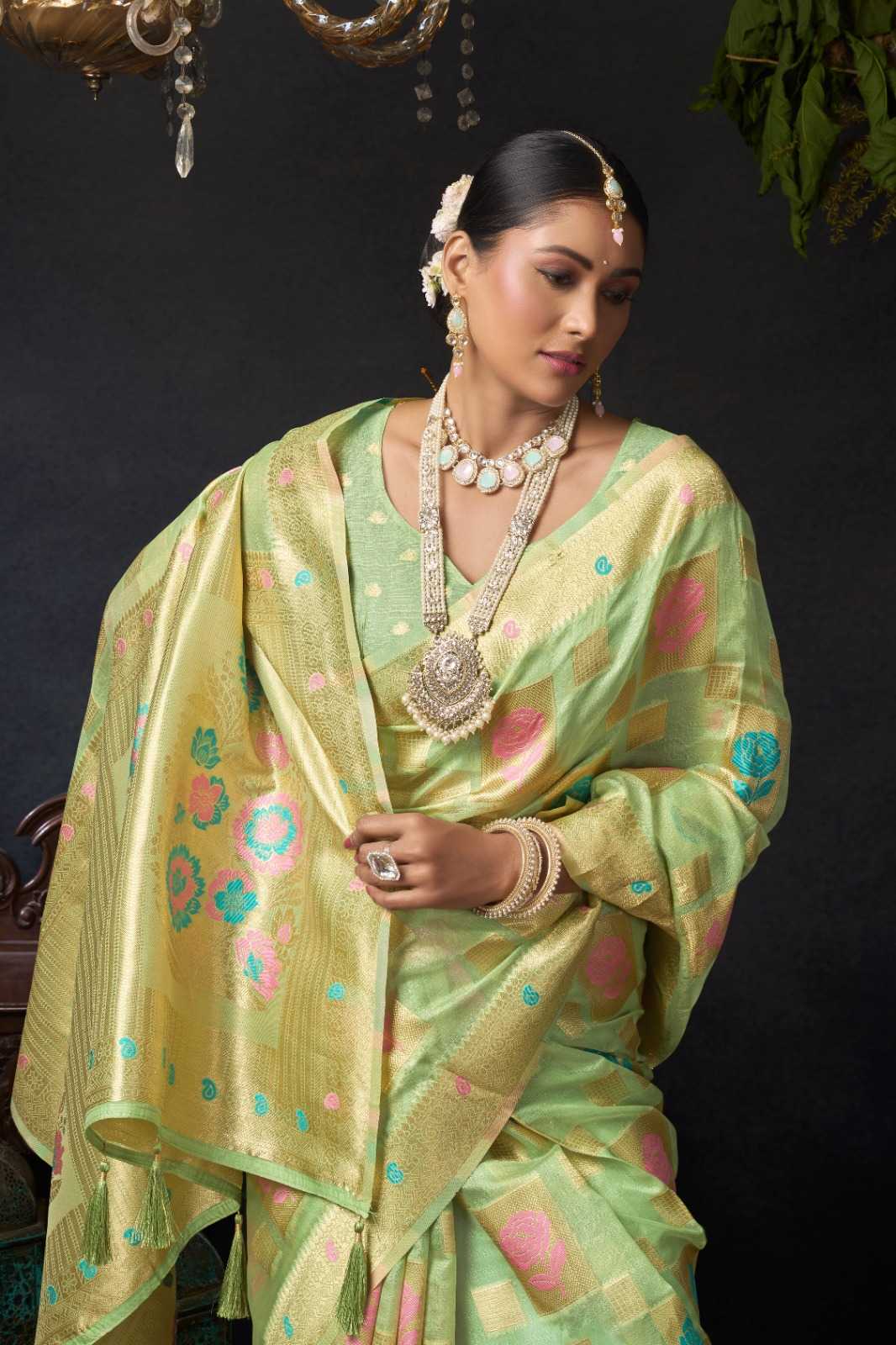 Organza Designer Saree