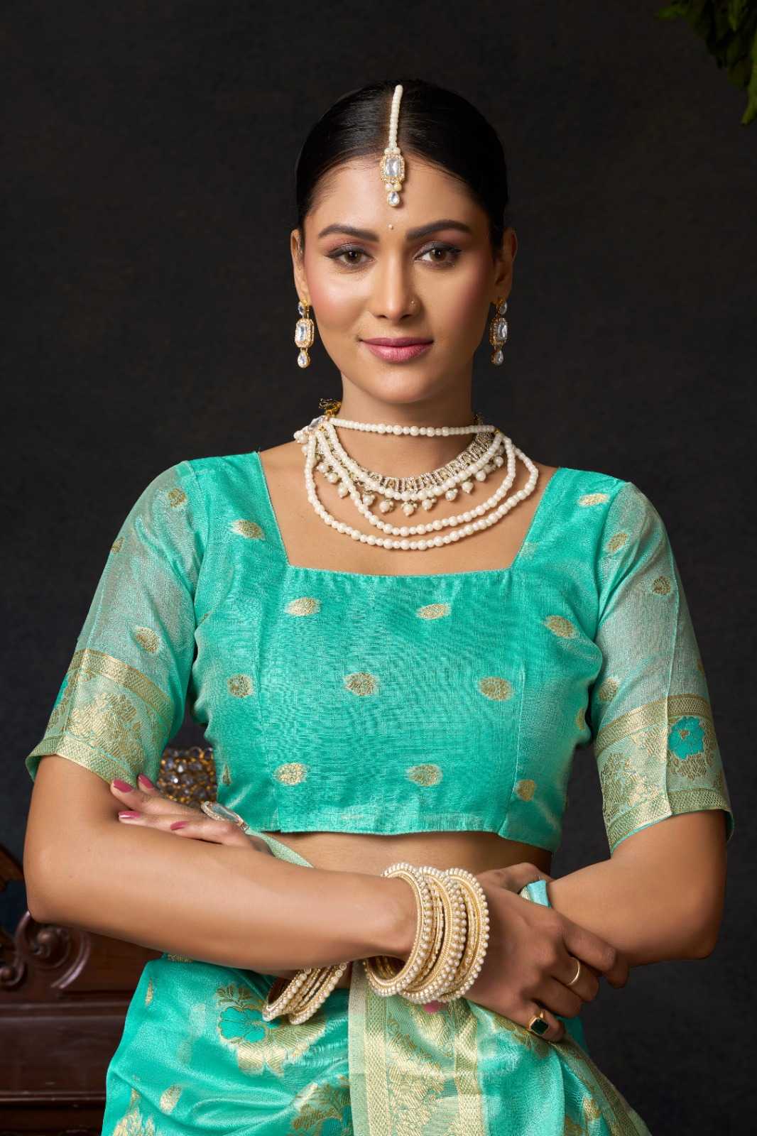 Organza Designer Saree