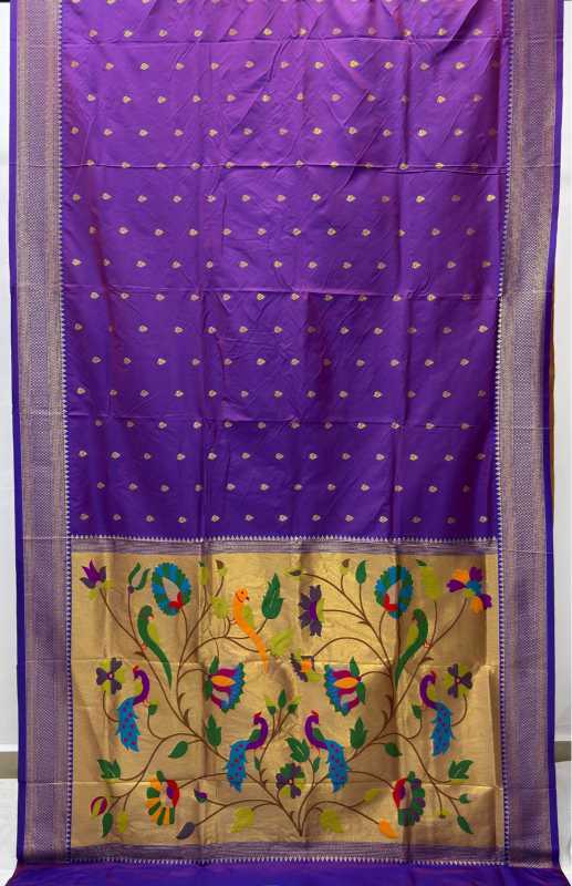 Fiza Paithani Silk Saree