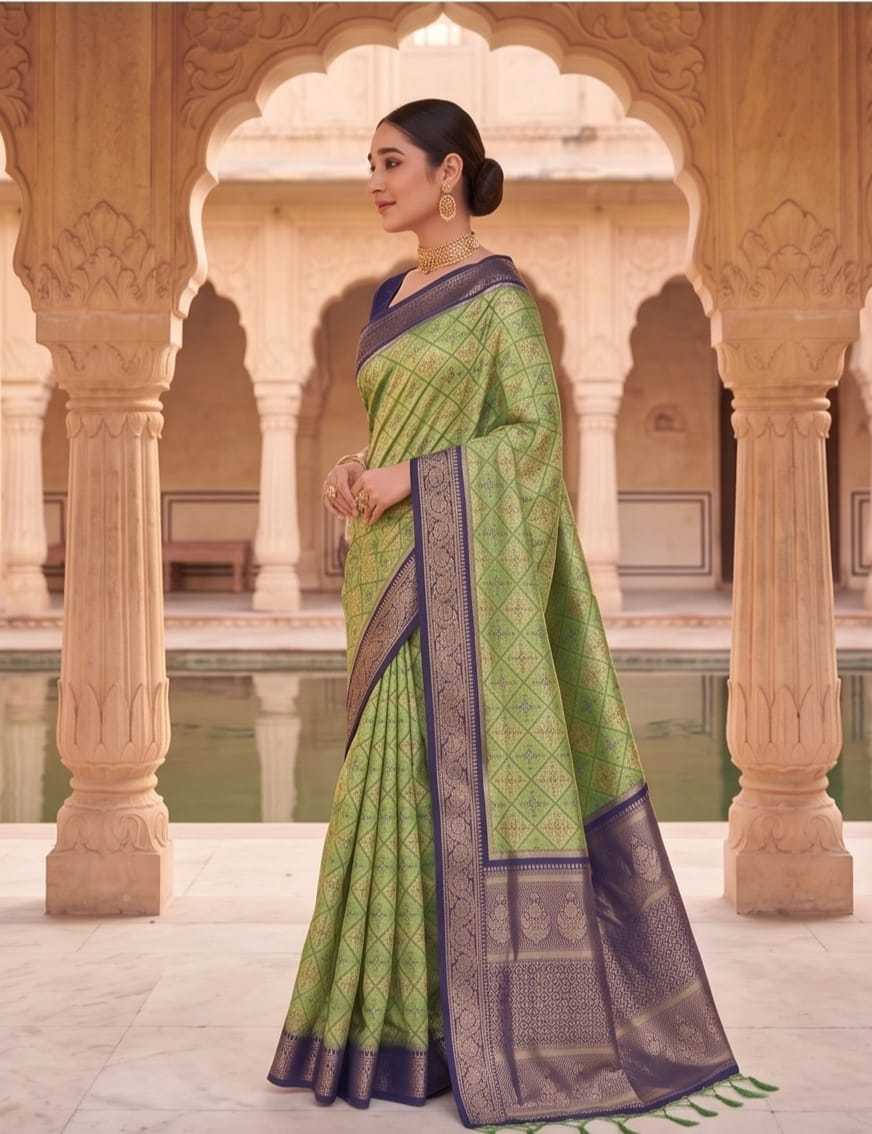 Rasbhari Fancy Designer Saree