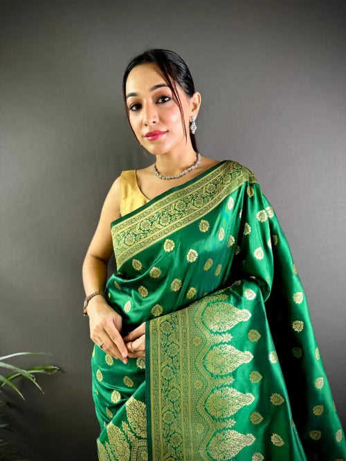 Vaishali Banarasi Soft Silk Saree