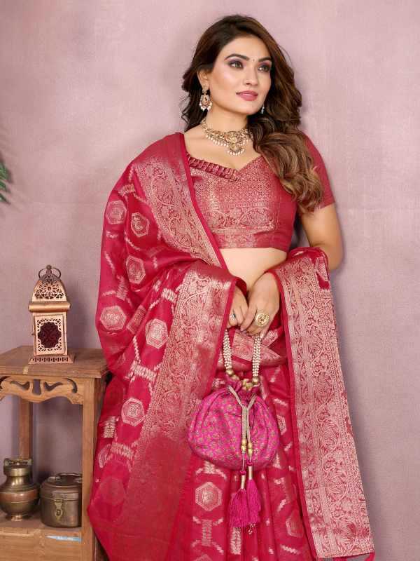 Zariya Organza Designer Saree