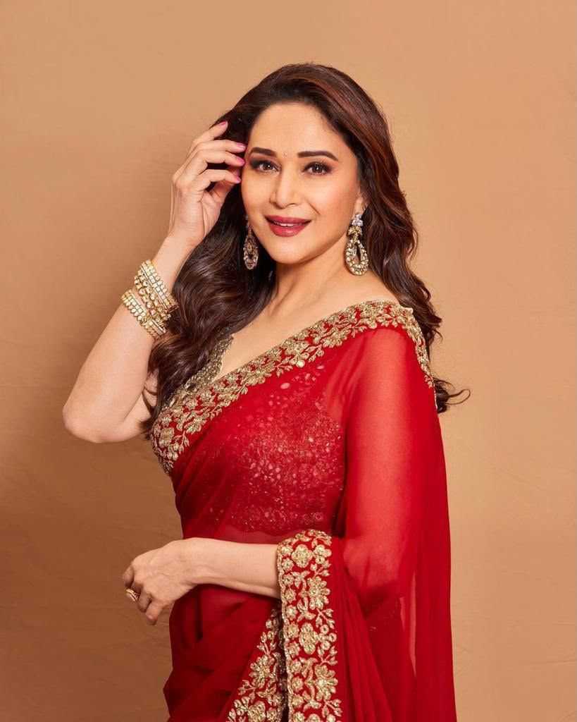 Georgette Embroidered Saree