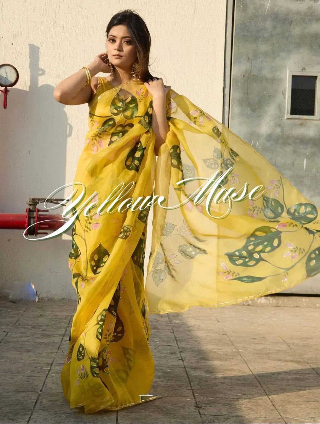 Organza Silk Printed Saree