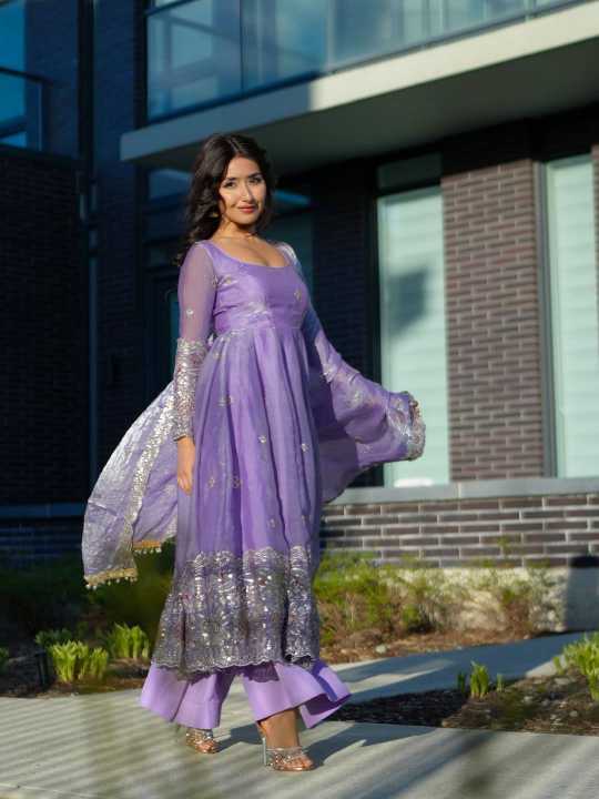 Fendy Embroidery Gown