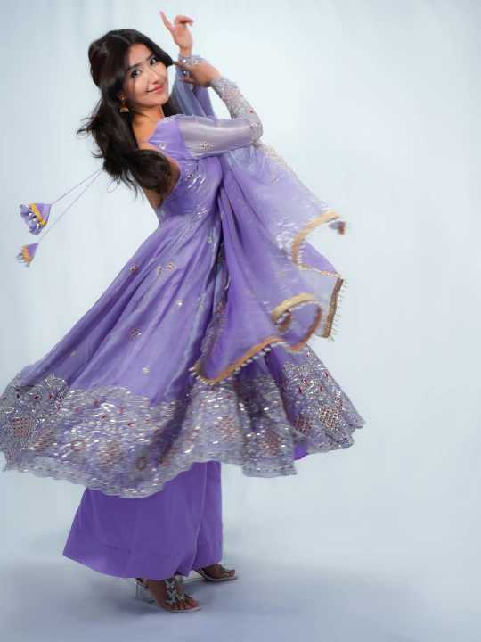 Fendy Embroidery Gown