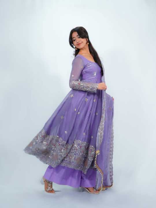 Fendy Embroidery Gown