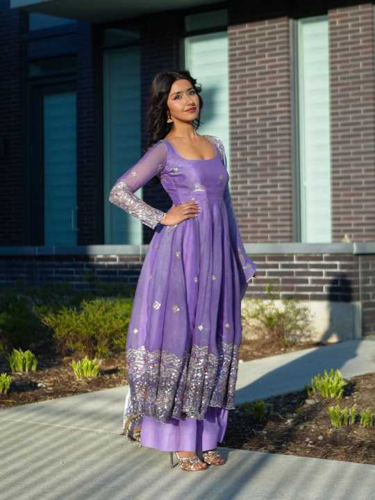 Fendy Embroidery Gown