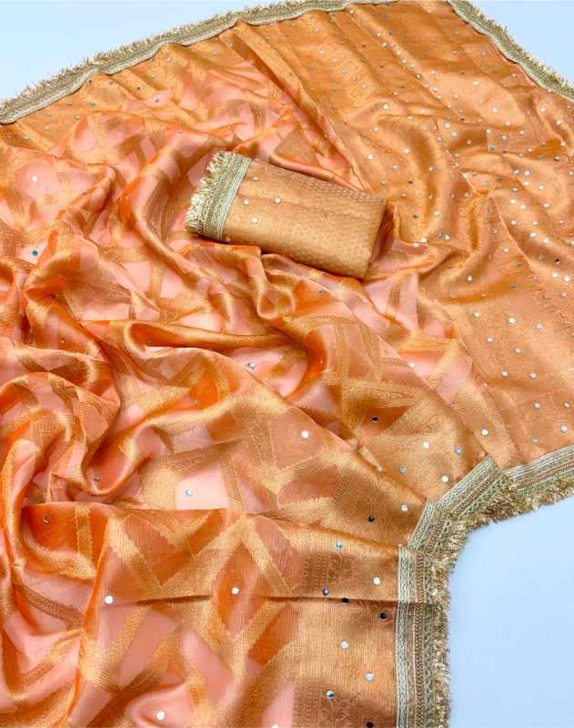 Organza Fancy Saree