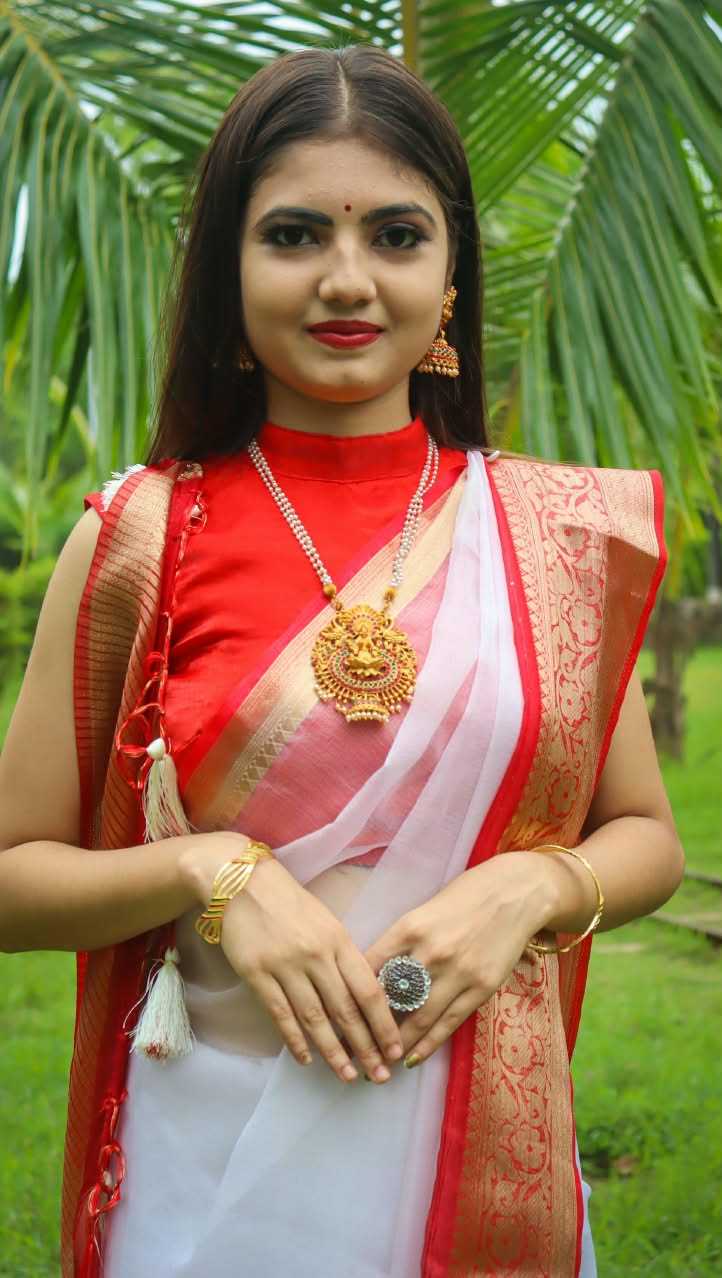 Durga Nylon Sequin Saree