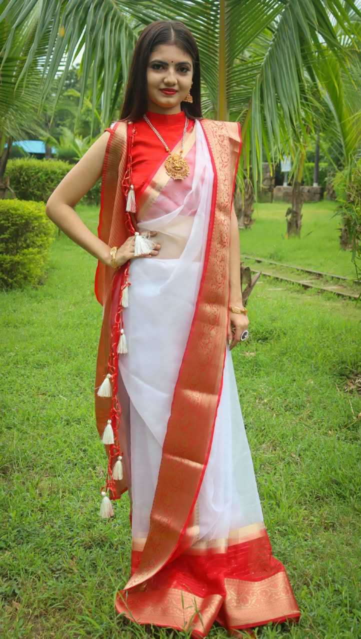 Durga Nylon Sequin Saree