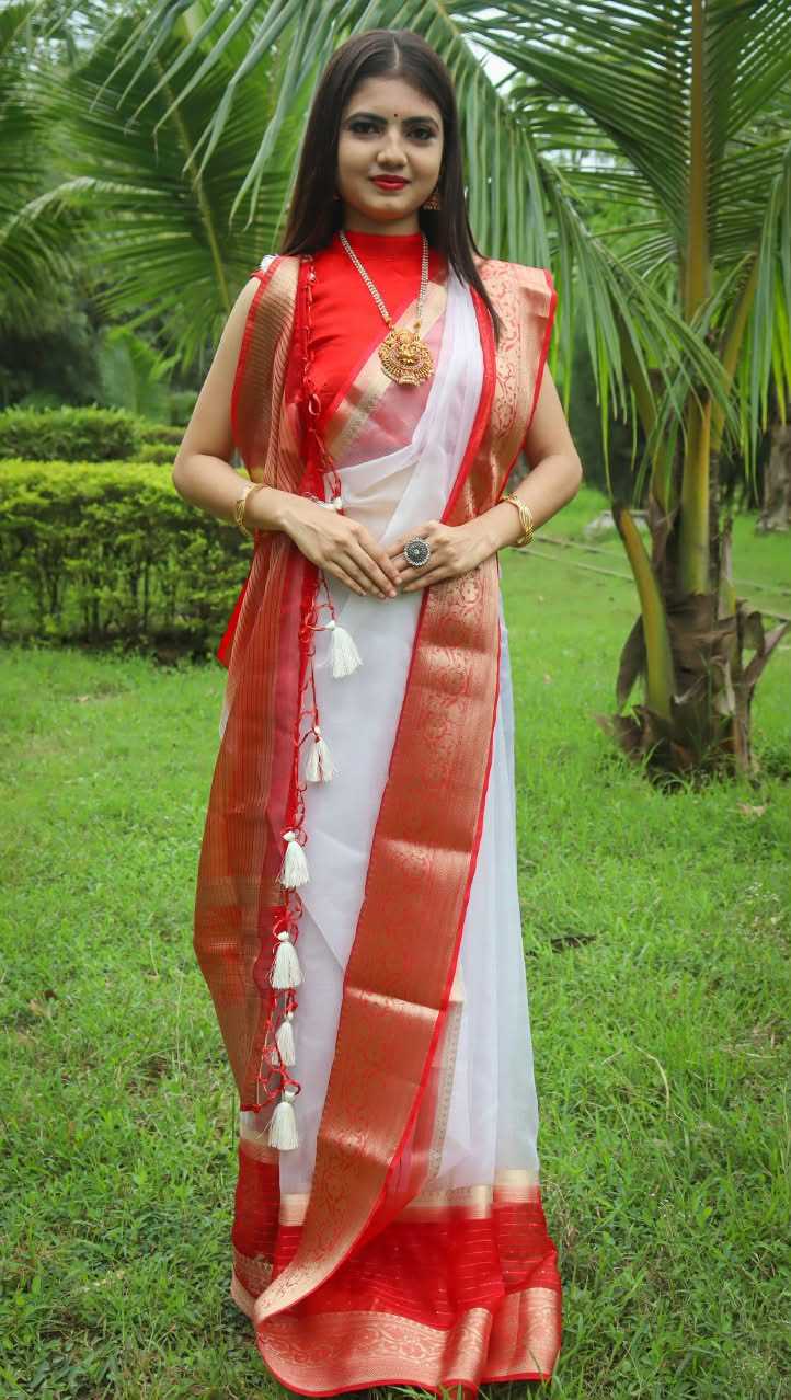 Durga Nylon Sequin Saree