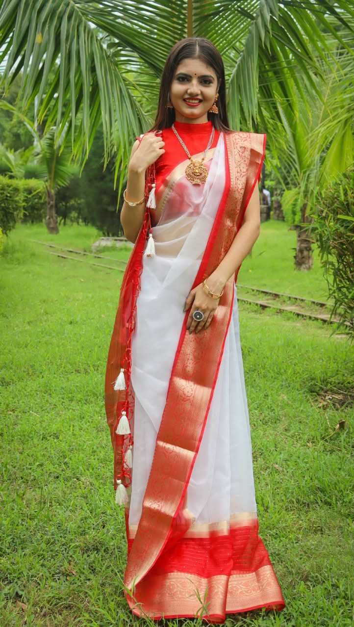 Durga Nylon Sequin Saree