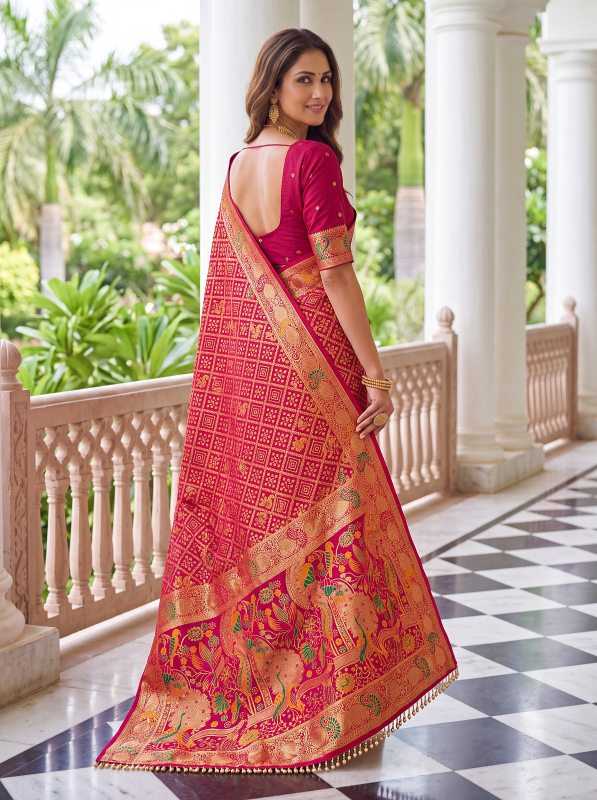 Nylon Designer Saree