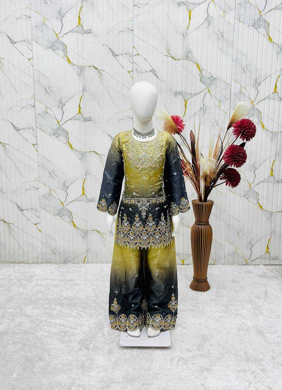 Heavy Silk Embroidered Frock