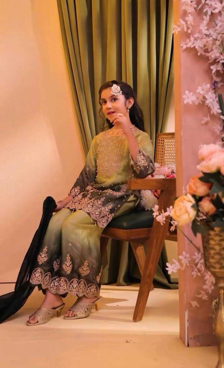 Heavy Silk Embroidered Frock