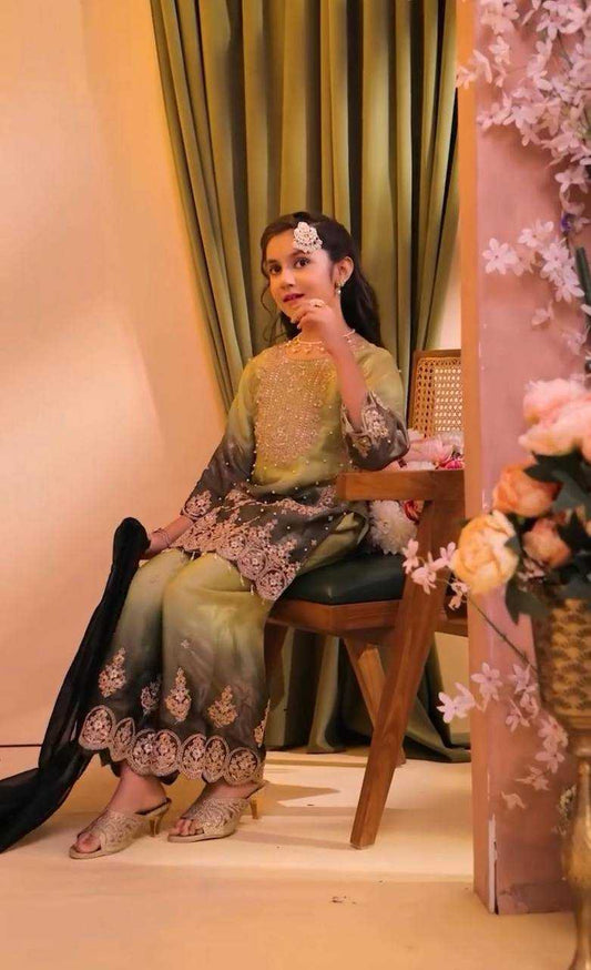 Heavy Silk Embroidered Frock