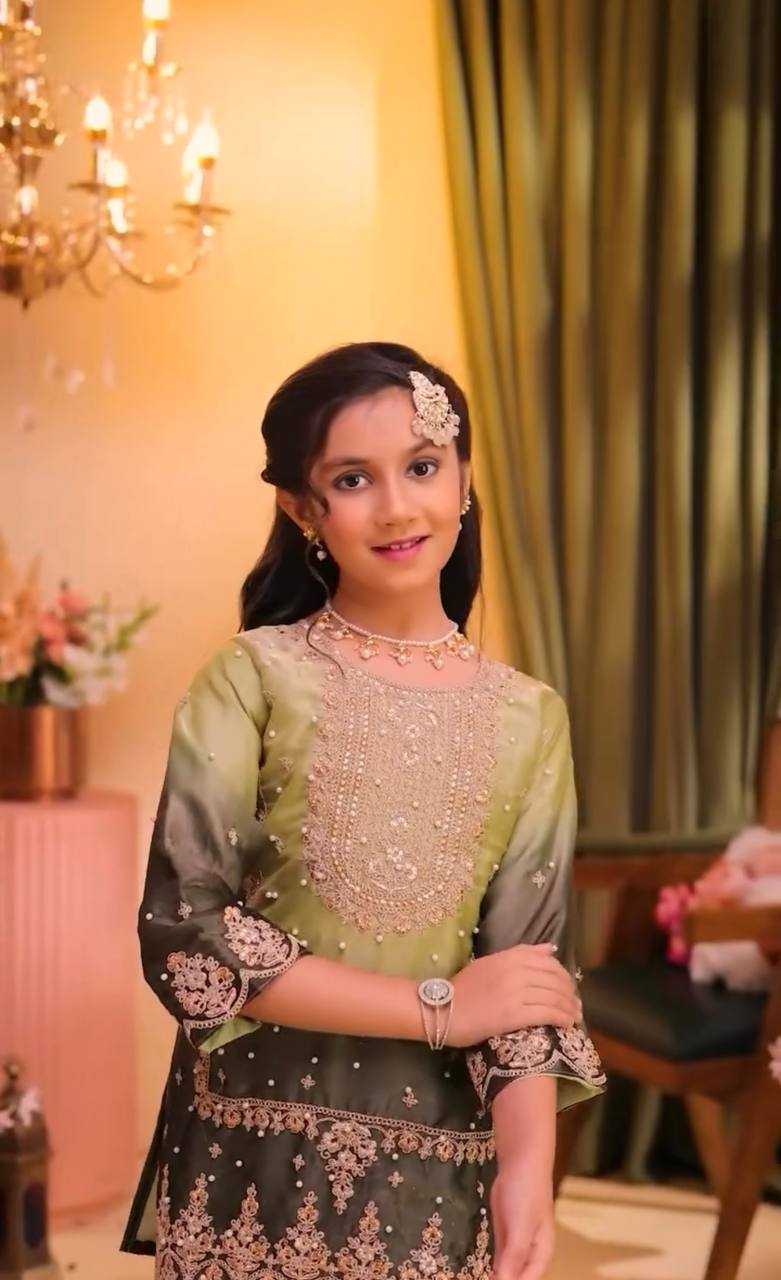 Heavy Silk Embroidered Frock