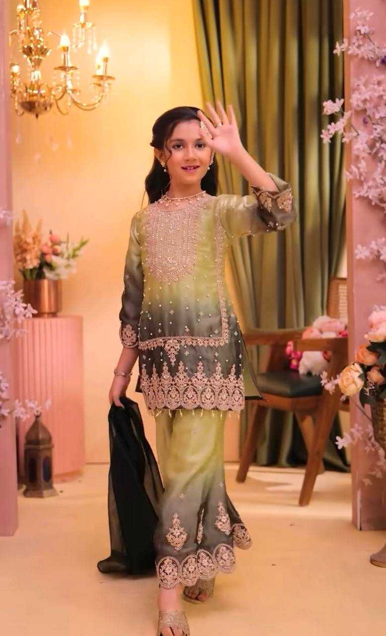 Heavy Silk Embroidered Frock