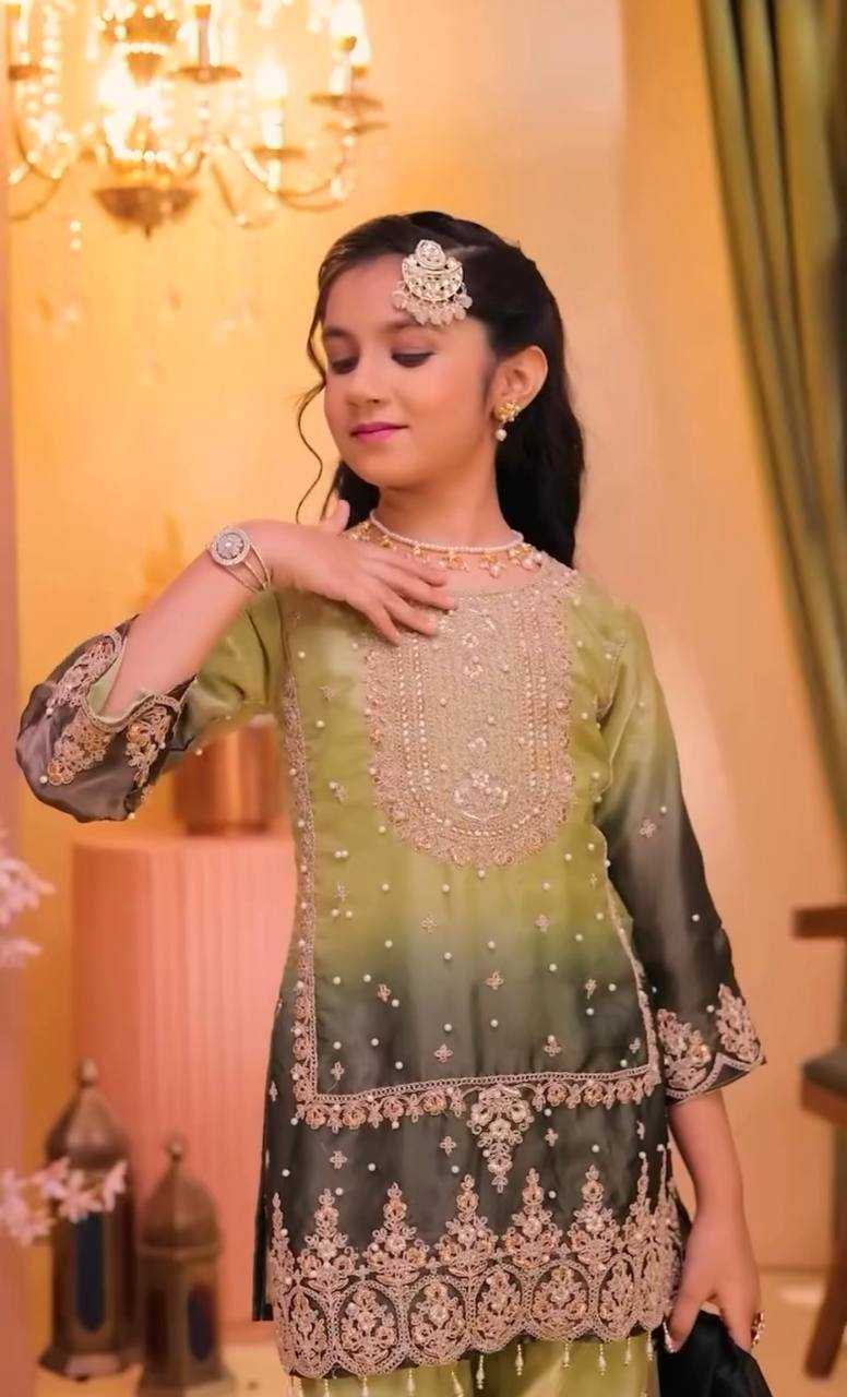 Heavy Silk Embroidered Frock