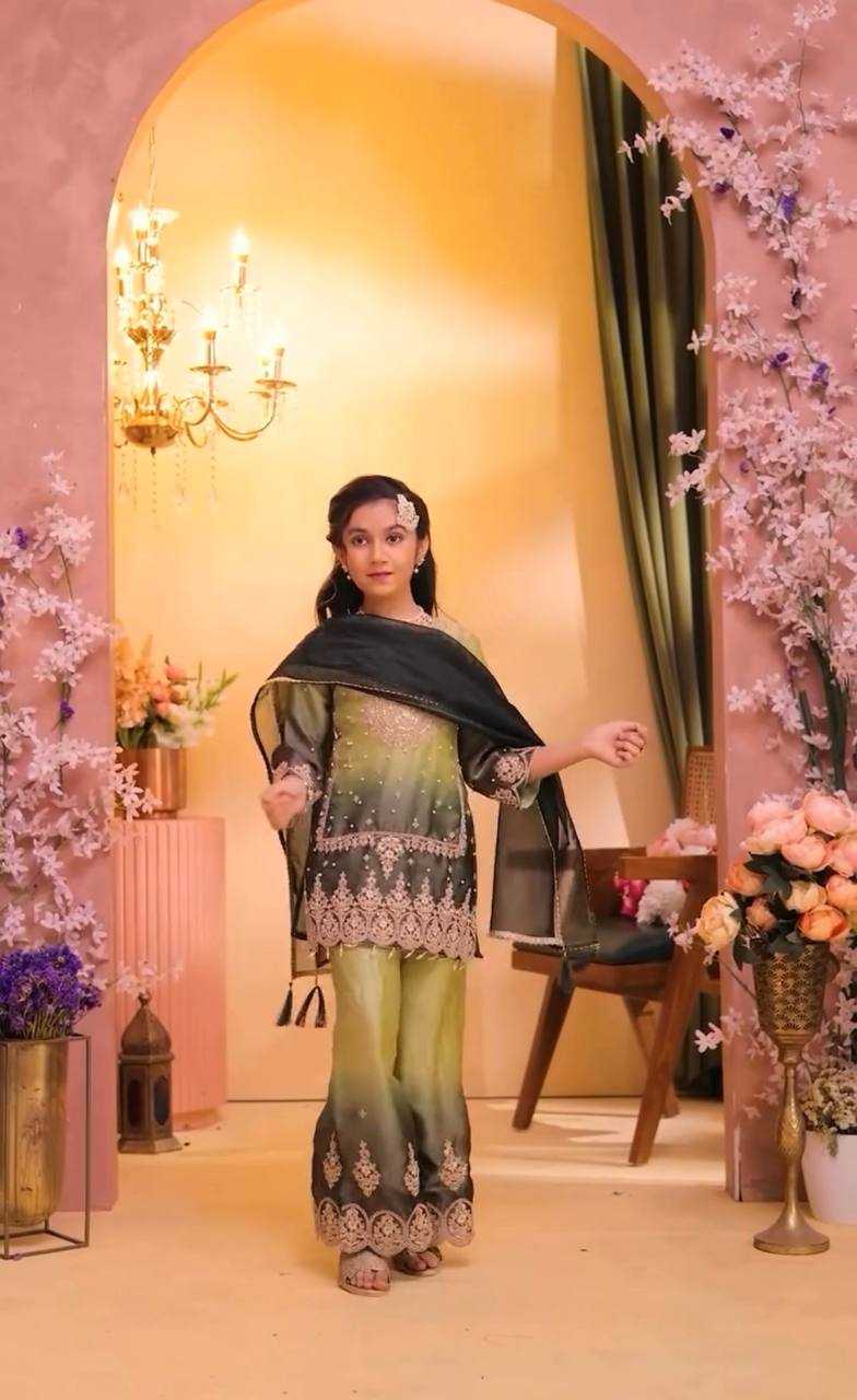 Heavy Silk Embroidered Frock
