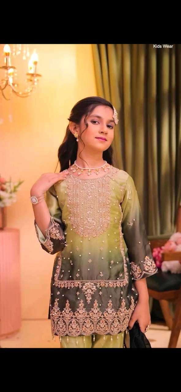 Heavy Silk Embroidered Frock